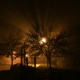 Image for article titled Shooting Challenge: Cellphone Gallery Part 2